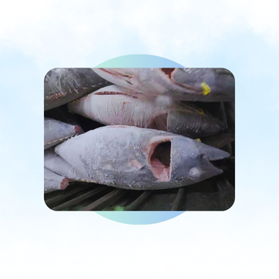 uper Frozen Sashimi Grade Tuna (Yellow Pin and Big Eye) (-45C°, 60C°)